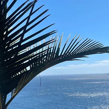 El Gran Azul Pensión 3*